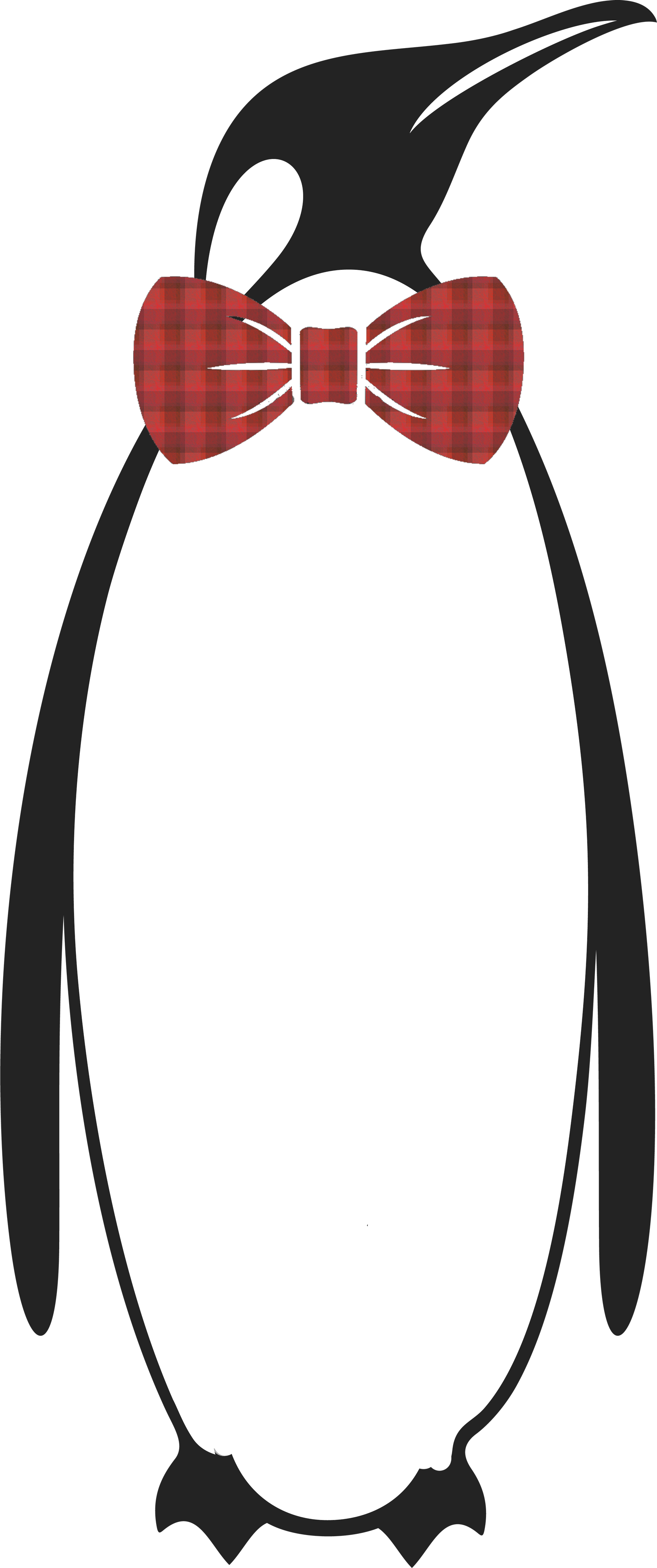 The Practical Penguin